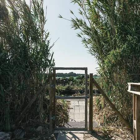 Casa Da Maria • Natural Cote • Aljezur *