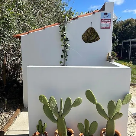 Villa Casa Da Maria • Natural Cote • Aljezur