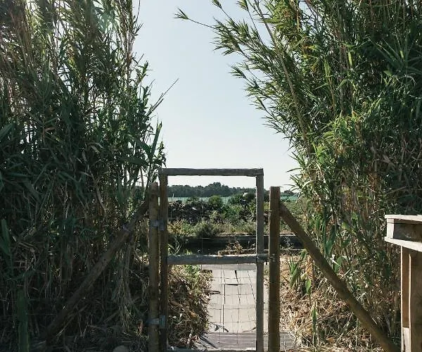 Casa Da Maria • Natural Cote • Aljezur *